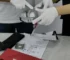 Quality-control inspection at the Yusheng factory